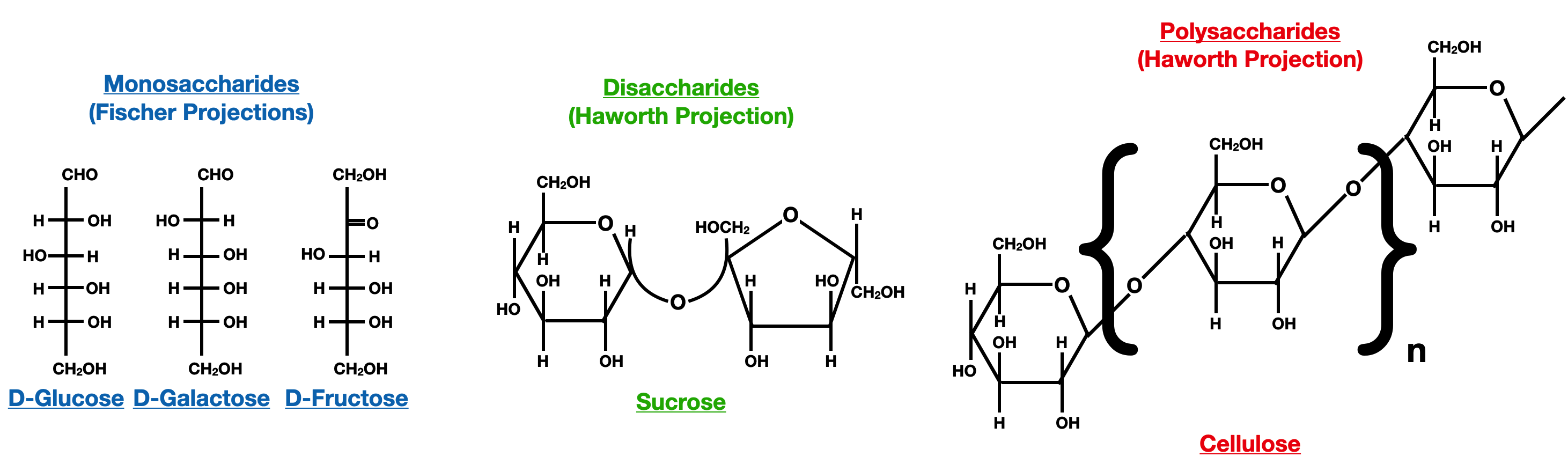 Introduction to Carbohydrates - monosaccharide disaccharide polysaccharide