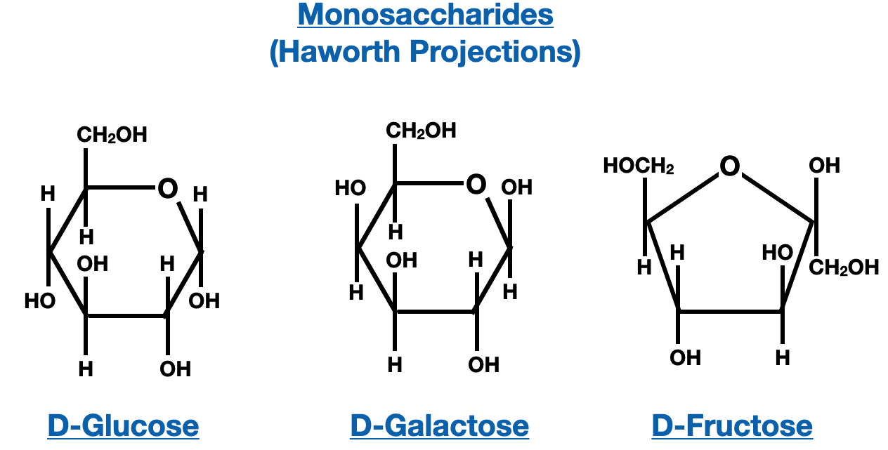 Structure and Nomenclature of Carbohydrates - monosaccharide haworth projection