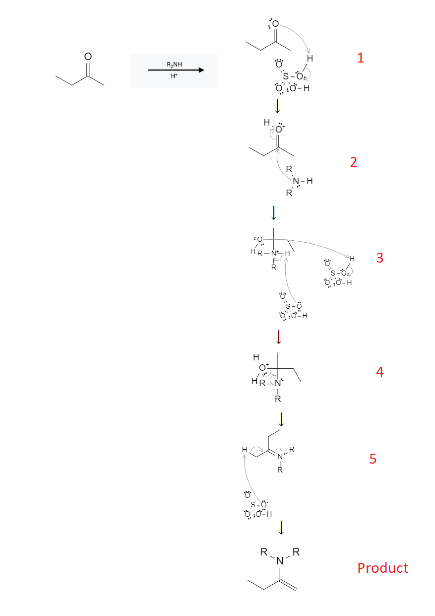 Aldehyde Reactions: Enamine Formation from Aldehyde, Ketone using R2NH - image2