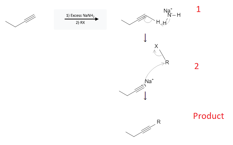 Alkyne Reactions: SN2 Addition of Alkyl Halides to Alkynes - image2