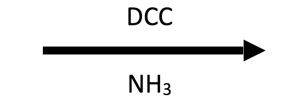 DCC + NH3 reagent button