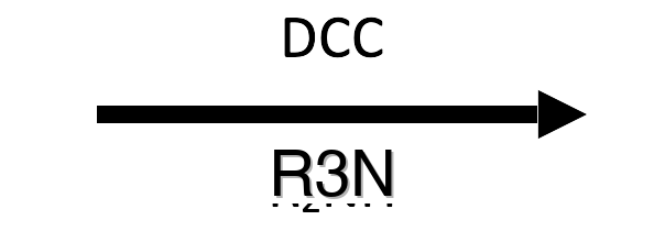 Mock DCC + R3N reagent button