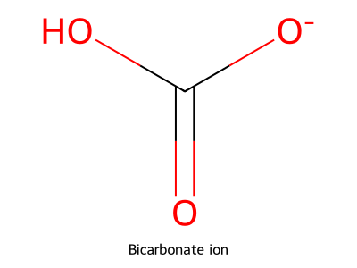 Bicarbonate ion