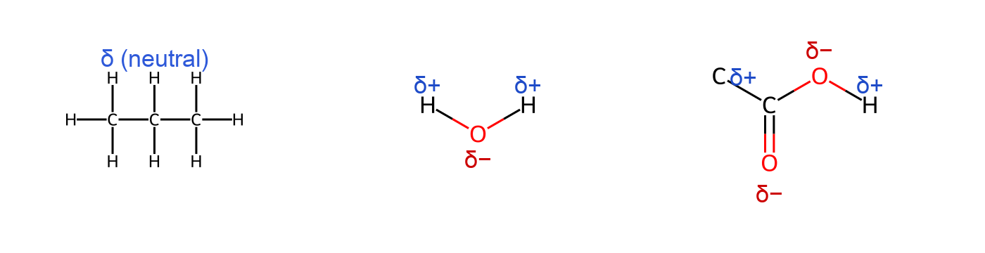 Electronegativity examples: propane neutral, water with δ− on O and δ+ on H, acetic acid with δ− on oxygens