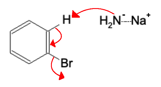 Reactivity and Reactions of Aromatic Compounds: Nucleophilic Aromatic Substitution - nas substitution mechanism nanh2 step1