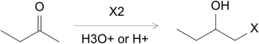 Reaction scheme showing an enol/enolate of a carbonyl compound reacting with molecular halogen (Br₂, Cl₂, I₂) at the alpha carbon to give the corresponding alpha-halo carbonyl product; pathways for both acid-catalyzed enol halogenation and base-generated enolate halogenation are indicated.