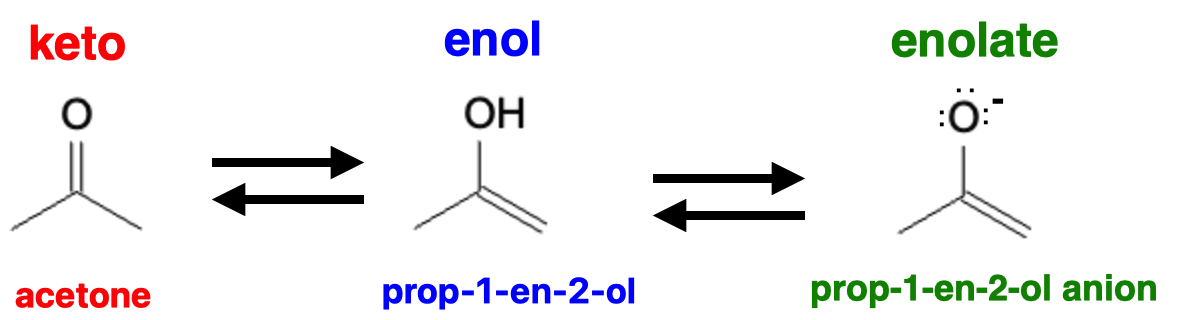 Formation and Reactivity of Enolates - keto enol enolate conversion formation
