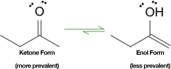 Diagram of keto–enol tautomerism: left structure is a ketone with an alpha hydrogen and C=O; right structure is the corresponding enol with C=C and OH; a bidirectional equilibrium arrow connects them and the ketone is annotated as the favored tautomer due to greater thermodynamic stability