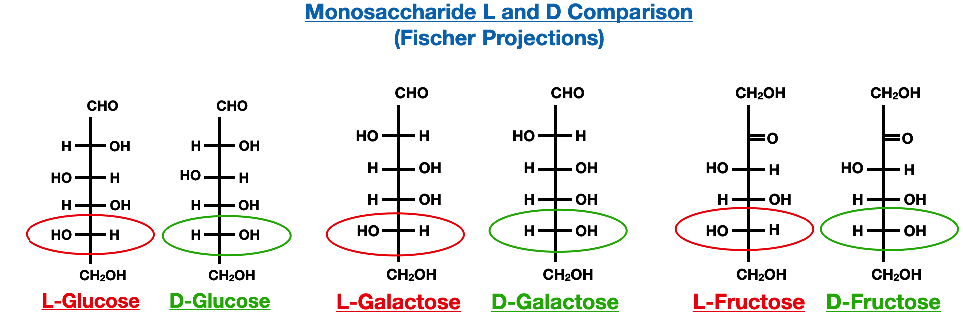 Introduction to Carbohydrates - monosaccharide configuration determination
