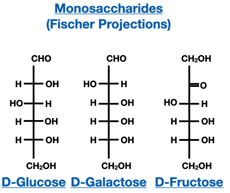 Structure and Nomenclature of Carbohydrates - monosaccharide fischer projection