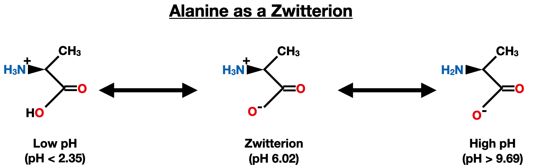 pKa and Electrical Properties of Amino Acids - alanine zwitterion