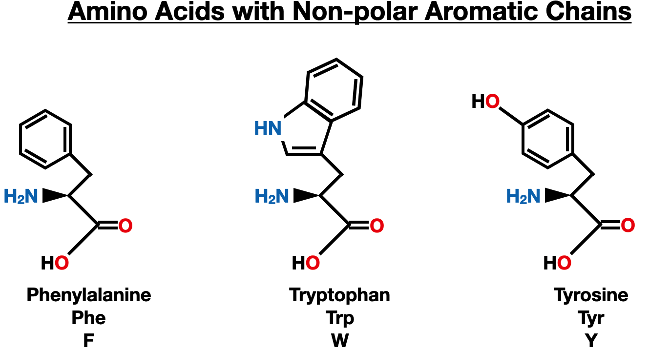 Tuning the electronic transition energy of indole via substitution:  application to identify tryptophan-based chromophores that absorb and emit  visible light. | Semantic Scholar