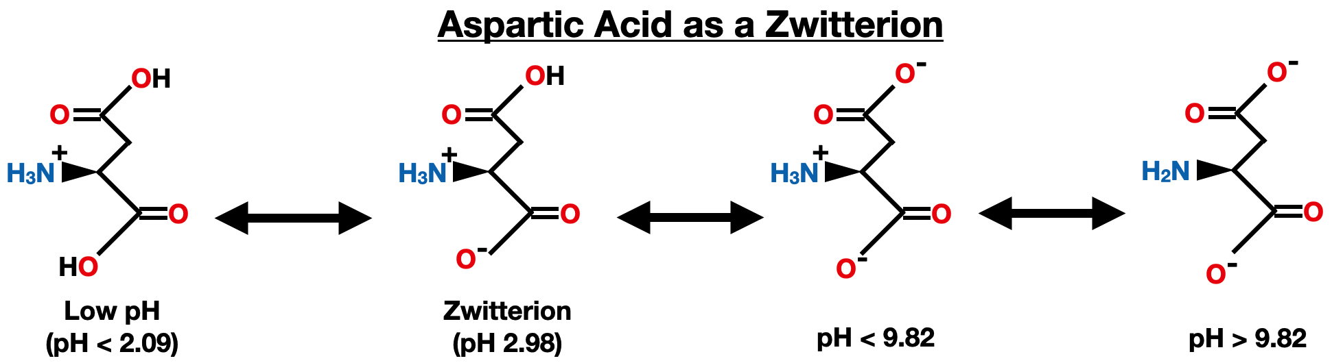 pKa and Electrical Properties of Amino Acids - aspartic acid zwitterion