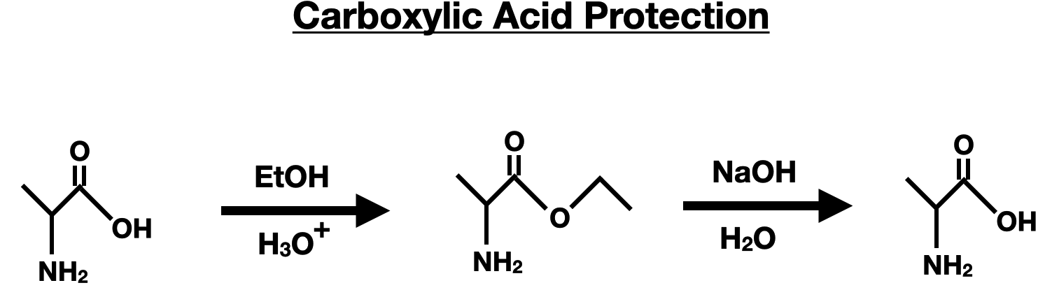 Amino Acid Synthesis and Protection Reactions - carboxylic group protection etoh