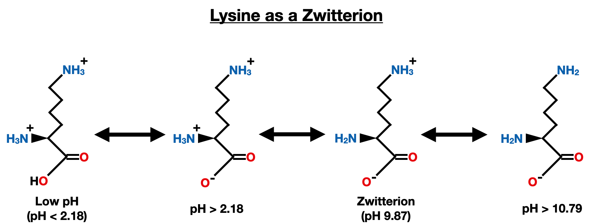 What Is pH? What Are pKa and pI? 3 Key Units. 1 Savvy Guide