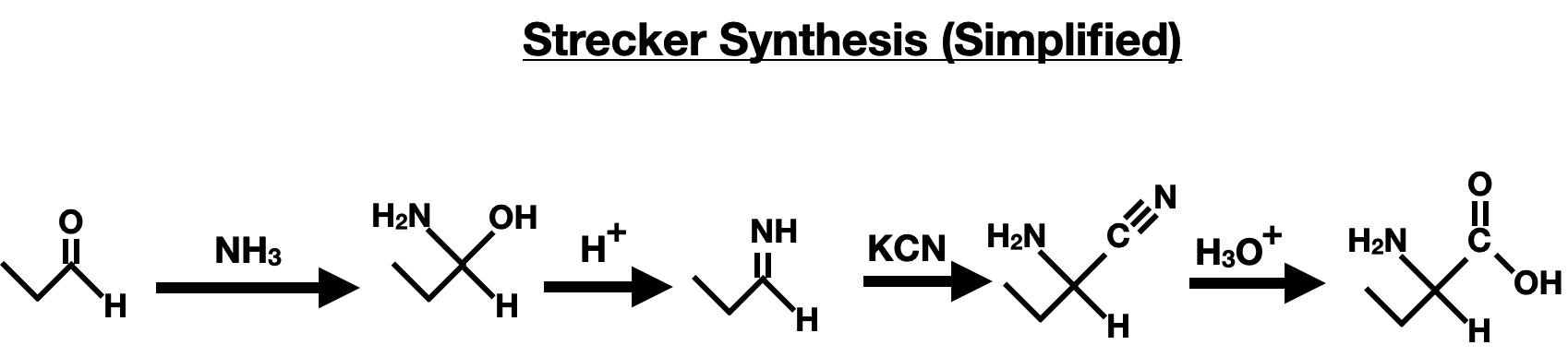 Amino Acid Synthesis and Protection Reactions - strecker synthesis