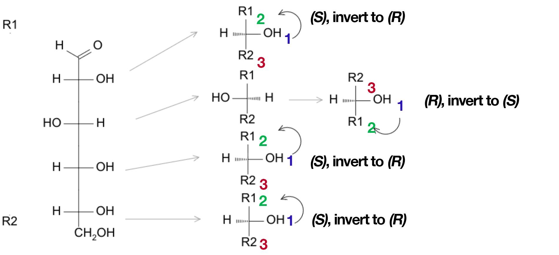 Assigning R/S on a Fischer projection using glyceraldehyde