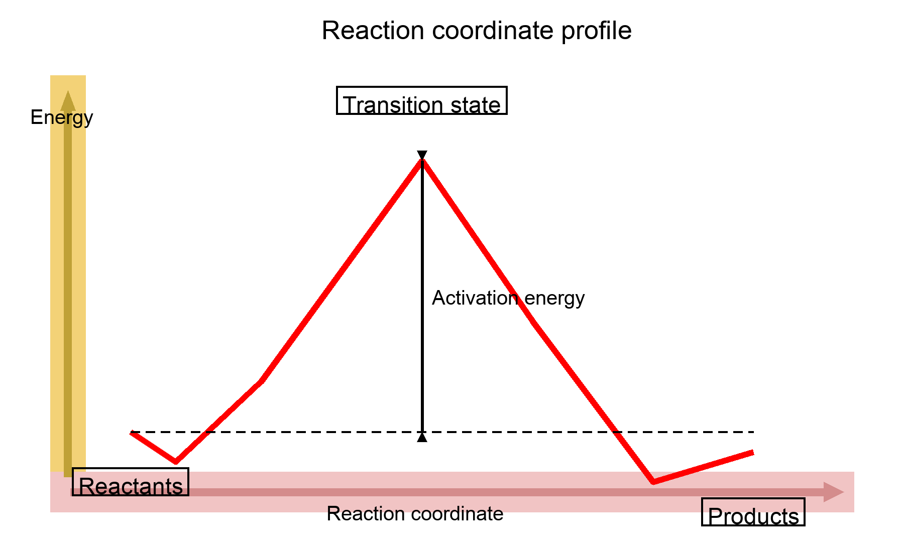 Reaction coordinate showing transition state and activation energy