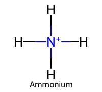 Ammonium