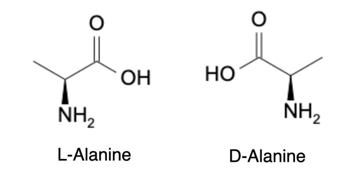 Enantiomers and diastereomers - alanine enantiomers