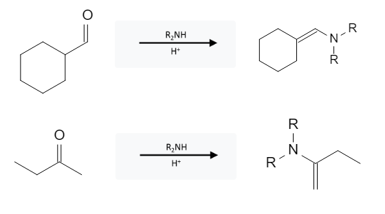 Aldehyde Reactions: Enamine Formation from Aldehyde, Ketone using R2NH image3.png