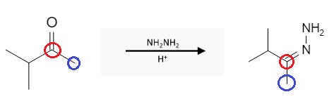 Aldehyde Reactions: Hydrazone Formation and Reduction to Alkane from Aldehyde, Ketone using NH2NH2 (Wolff Kishner Reaction) - image4