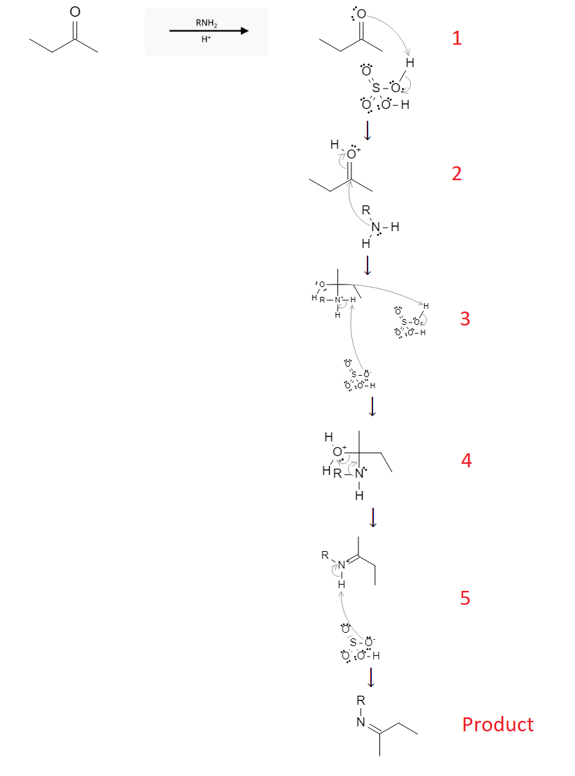 Aldehyde Reactions: Imine Formation from Aldehyde, Ketone using RNH2 image3.png
