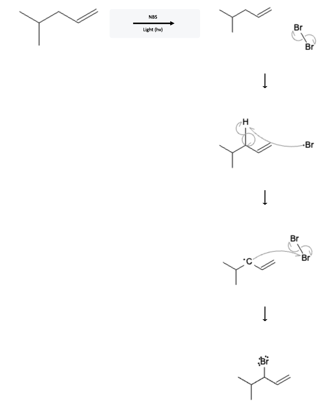 Alkene Reactions: Allylic Bromination using NBS and Light - alkene nbs light reaction mechanism