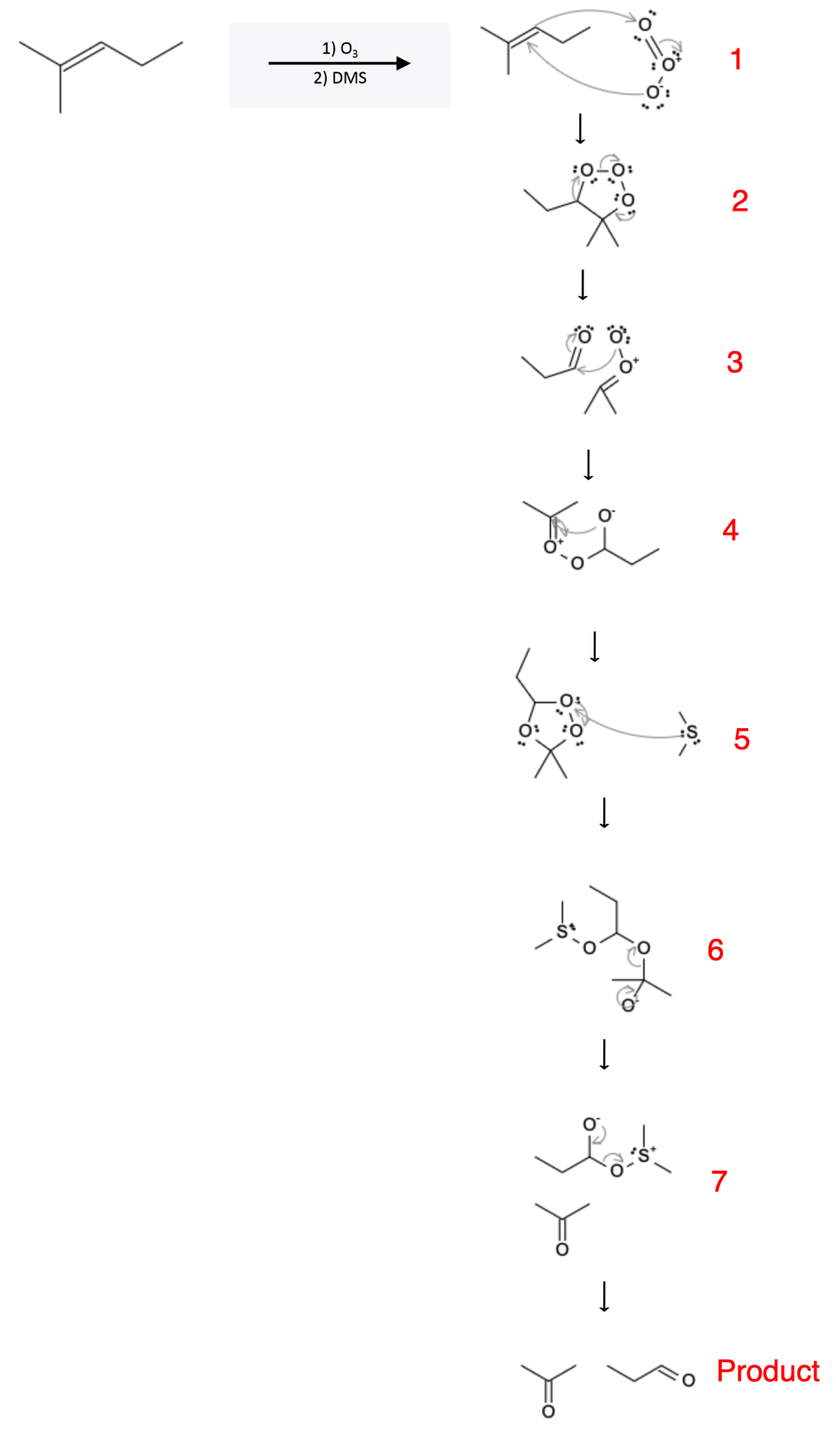 Alkene Reactions: Ozonolysis using O3 and DMS - alkene ozonolysis o3 dms reaction mechanism