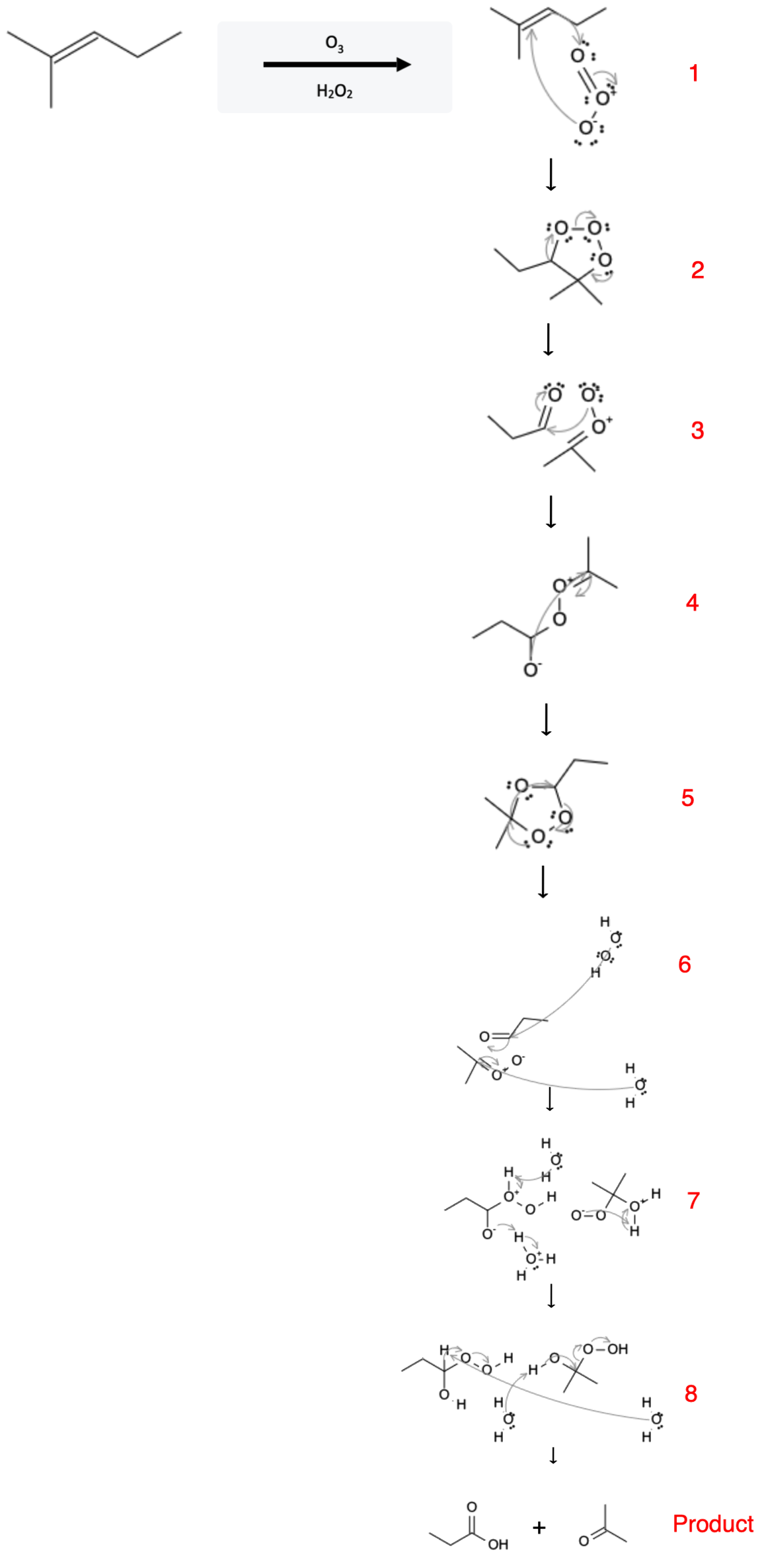 Alkene Reactions: Ozonolysis using O3 and H2O2 - alkene ozonolysis o3 h2o2 reaction mechanism