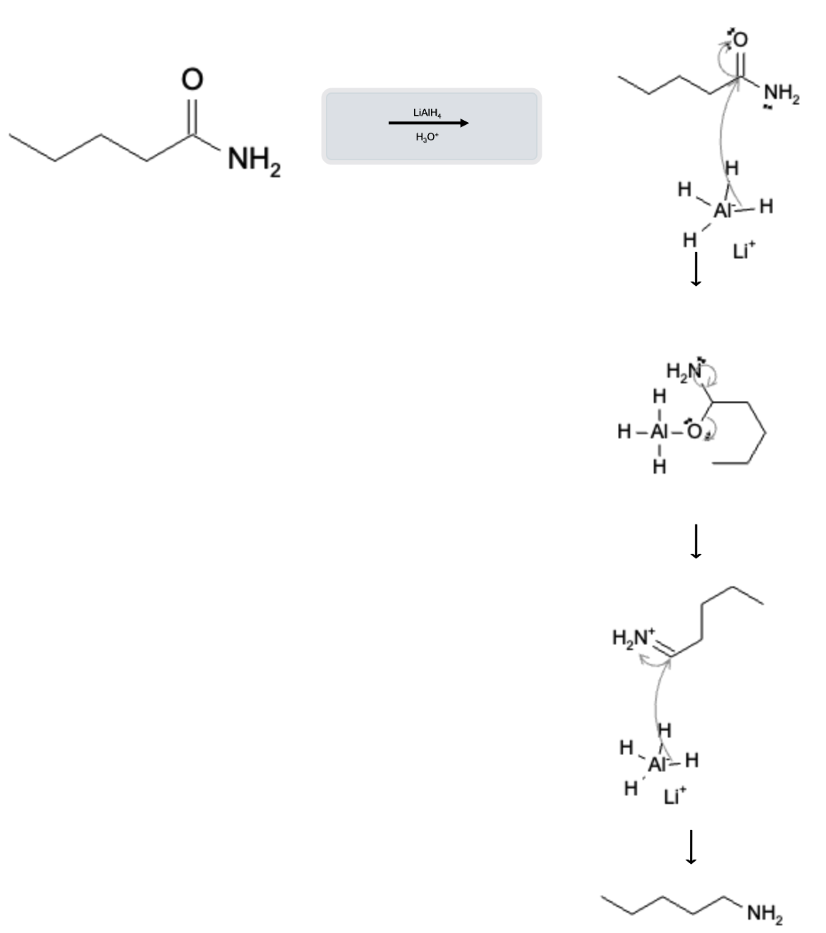 Amide Reactions: Reduction of Amides to Amines using LiAlH4 - amide lialh4 reaction mechanism