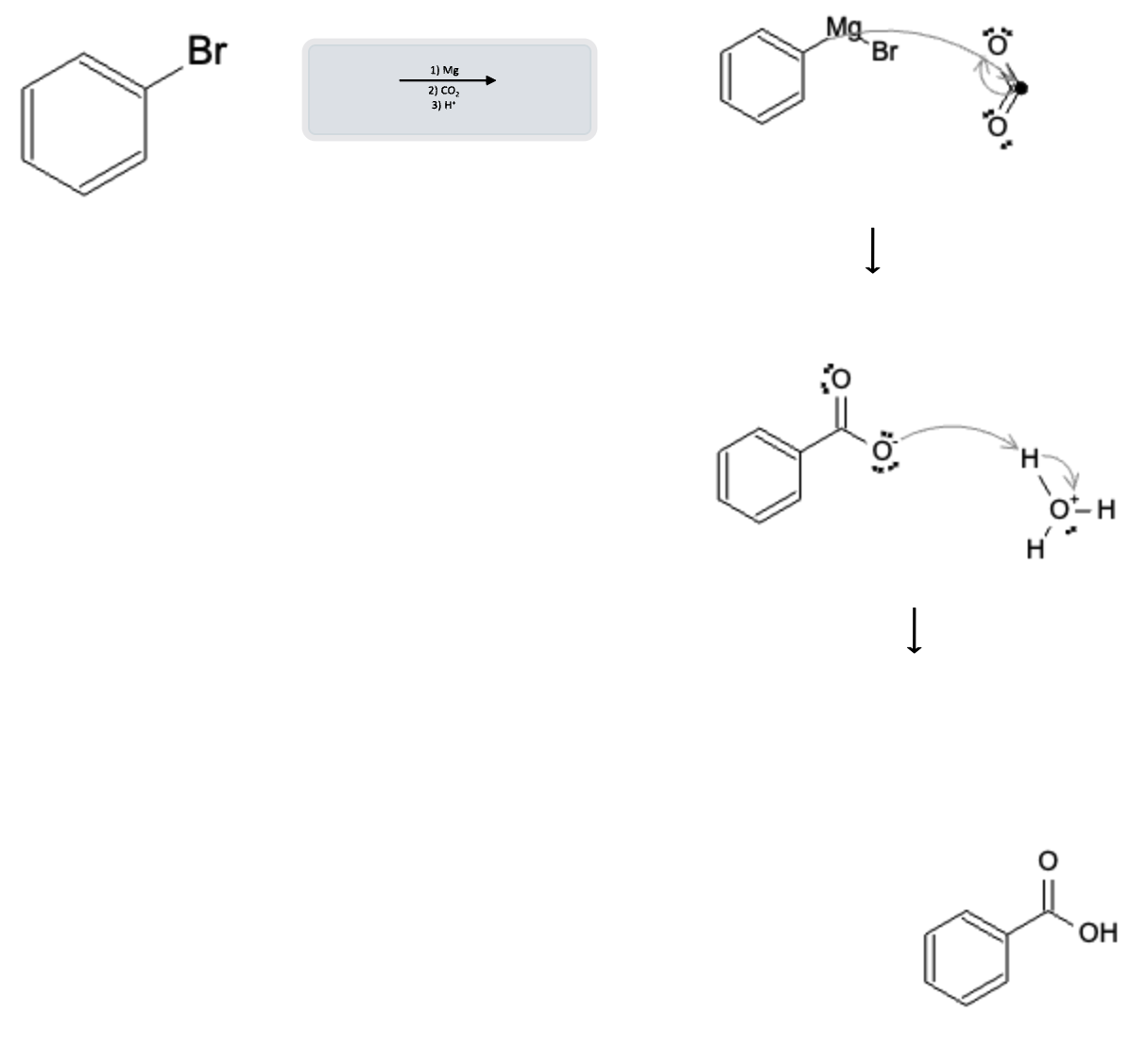 Aromatic Reactions: Grignard Reaction to form Benzoic Acid - benzene grignard reaction mechanism