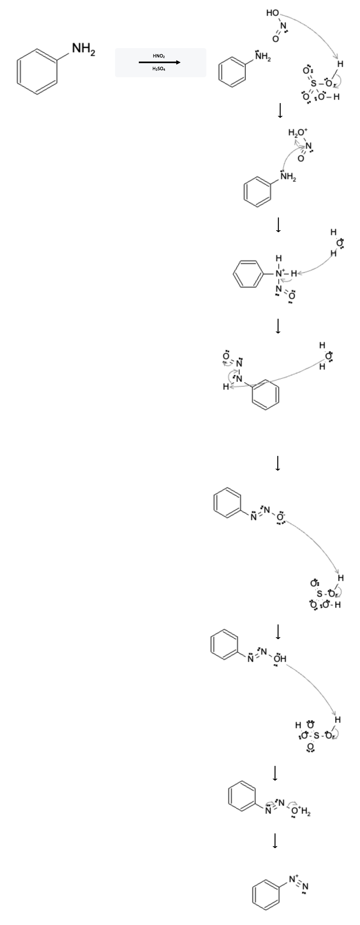 Aromatic Reactions: Aniline Diazotization to Diazonium - benzene hno2 h2so4 reaction mechanism