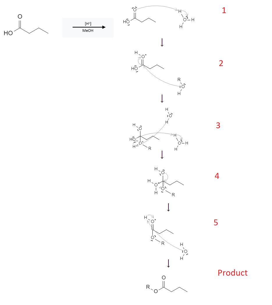 Carboxylic Acid Reactions: Fischer Esterification using Carboxylic acids and Alcohols image2.png