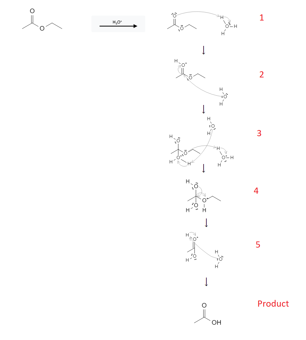 Ester Reactions: Formation of Carboxylic Acid from Ester using Acids image2.png