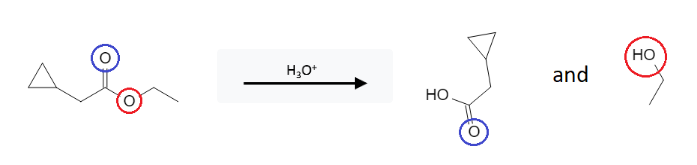 Ester Reactions: Formation of Carboxylic Acid from Ester using Acids image3.png