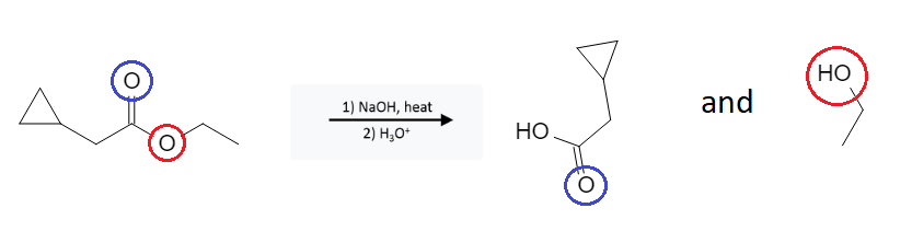 Ester Reactions: Formation of Carboxylic Acid from Ester using Strong Base - image2